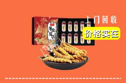 温州市龙湾回收虫草