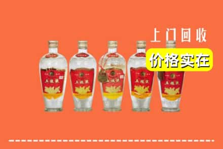 温州市龙湾回收老五粮液
